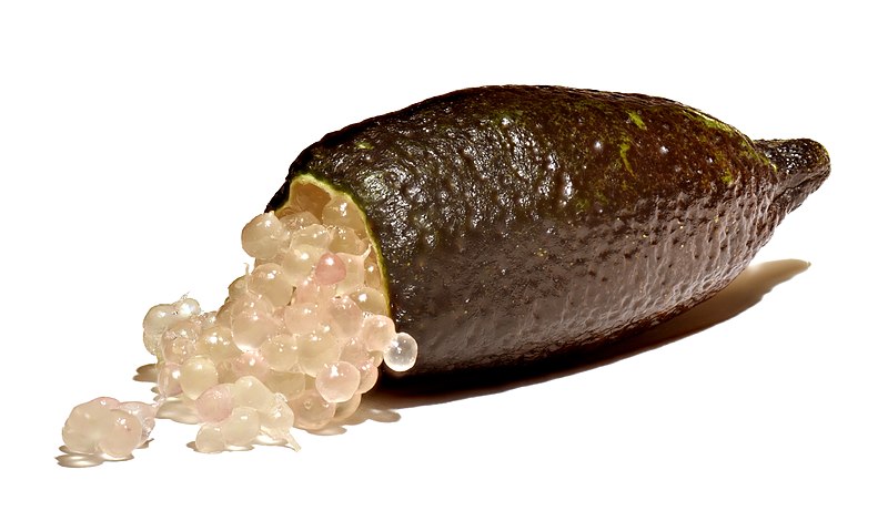 Tout savoir sur le citronnier caviar