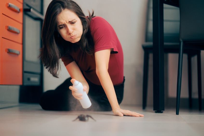 éliminer les fourmis