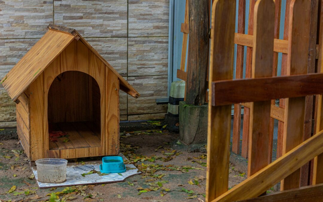 Pourquoi construire une niche pour son chien ?