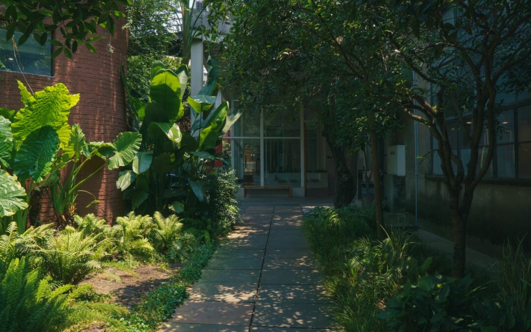 Comment intégrer une terrasse, des plantations et des zones de repos dans un même espace