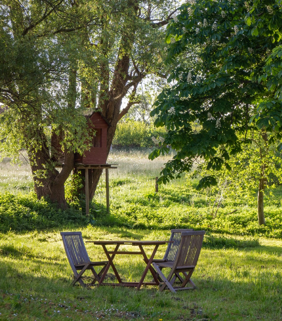 jardin - blog-maison-jardin.fr